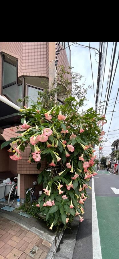 Apartamento 東洋の家-26 Square Meter Treadmi Garden House Tokio Exterior foto