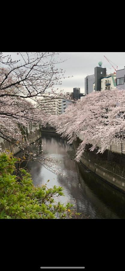 Apartamento 東洋の家-26 Square Meter Treadmi Garden House Tokio Exterior foto