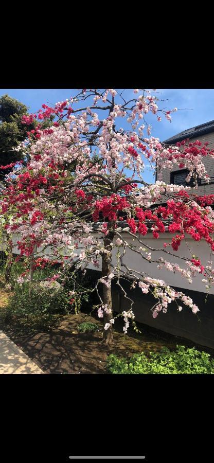 Apartamento 東洋の家-26 Square Meter Treadmi Garden House Tokio Exterior foto